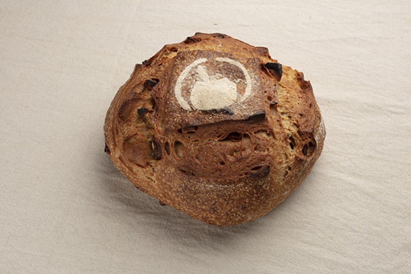 Imagen Trigo manzana y sidra DOP